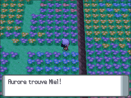 Pré Floraville Miel 2 DP.png