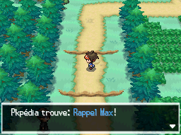 Fichier:Route 2 Rappel Max 2 N2B2.png