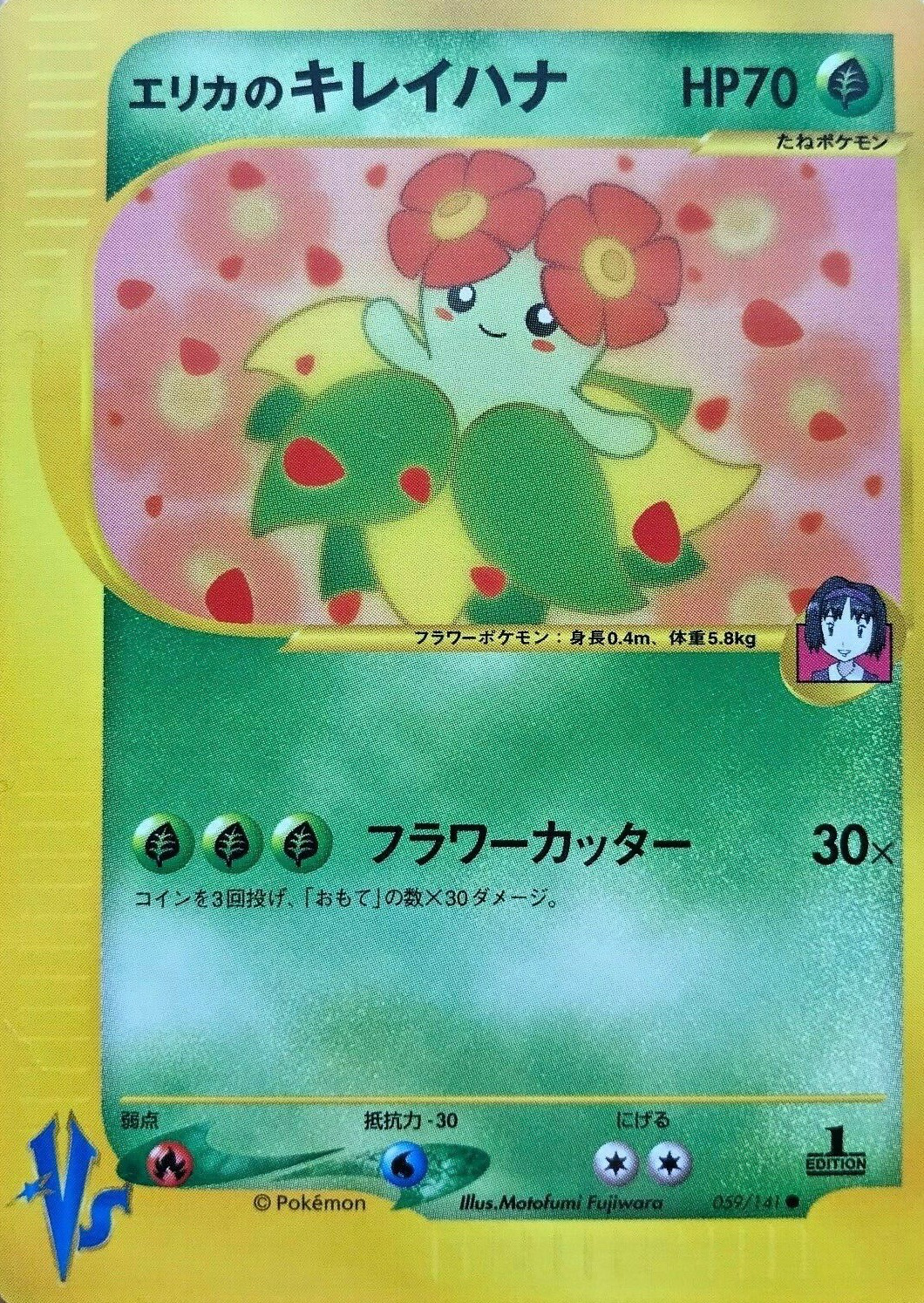 キレイハナ カードe アンリミ キラ eカード ポケカ 海からの風