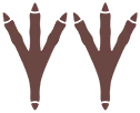 Empreintes 0146 DEPS.png