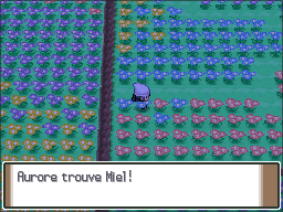 Pré Floraville Miel 6 Pt.png