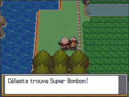 Route 34 Super Bonbon HGSS.png