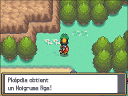 Fichier:Route 44 Noigrume Rouge HGSS.png