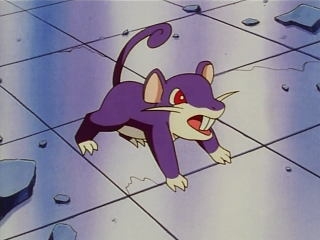 Fichier:EP002 - Rattata.png
