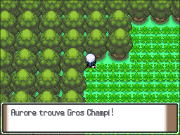 Rive Lac Courage Gros Champi Pt.png