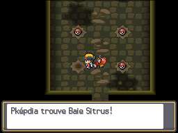 Ruines d'Alpha Baie Sitrus HGSS.png