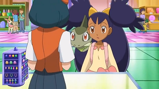 Fichier:NB019 - Feuillajou d'un Dresseur.png