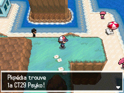 Route 13 CT29 NB.png