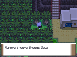 Route 225 Encens Doux Pt.png