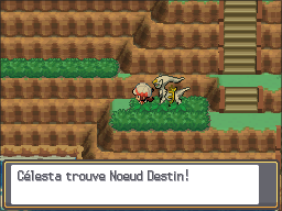 Route 27 Noeud Destin HGSS.png