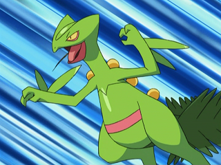 Fichier:AG179 - Jungko de Sacha.png