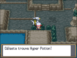 Mont Creuset Hyper Potion HGSS.png