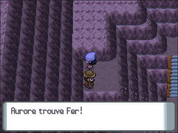 Route 208 Fer DP.png