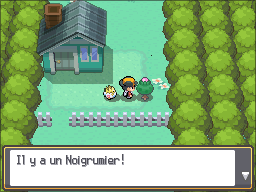 Route 2 Noigrume Rose HGSS.png