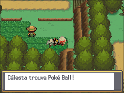 Route 31 Poké Ball HGSS.png