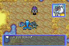 L'équipe face à Raikou.