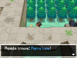 Fichier:Vestiges du Rêve Pierre Lune N2B2.png