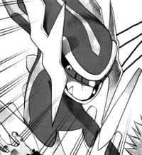 Dialga Hélio-PMS.png