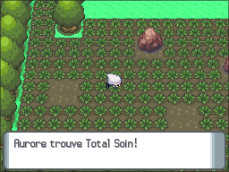 Grand Marais Total Soin DP.png