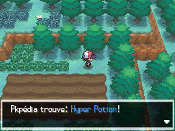 Autel Abondance Hyper Potion NB.png