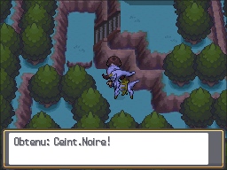 Lac Colère Ceint.Noire HGSS.png