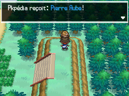 Fichier:Route 2 Pierre Aube N2B2.png