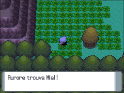 Route 208 Miel DP.png
