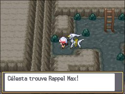 Tourb'Îles Rappel Max HGSS.png