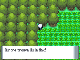 Rive Lac Courage Huile Max DP.png