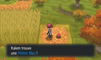 Fichier:Route 16 Potion Max XY.png