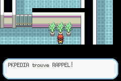 Sylphe SARL Rappel RFVF.png