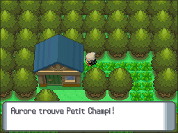 Route 221 Petit Champi DP.png