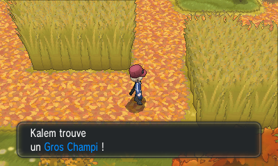 Fichier:Route 16 Gros Champi XY.png