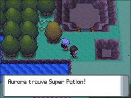 Route 209 Super Potion DP.png