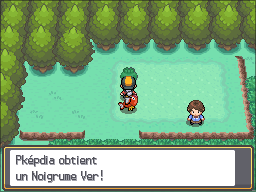 Route 29 Noigrume Vert HGSS.png