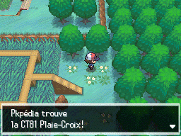 Route 7 CT81 NB.png