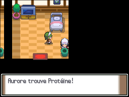 Manoir Pokémon Protéine Pt.png