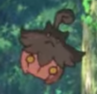 Pitrouille sauvage - Film 23.png