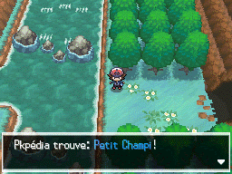 Route 6 Petit Champi 2 NB.png