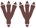 Empreintes 0198 DEPS.png