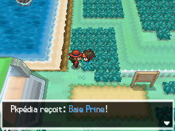 Fichier:Route 1 Baie Prine 1 N2B2.png