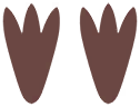 Empreintes 0334 DEPS.png