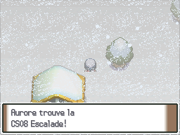 Route 217 CS08 Pt.png