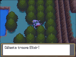 Route 44 Elixir HGSS.png