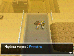 Fichier:Route 4 Protéine B2.png