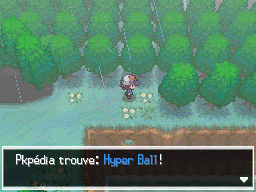 Route 8 Hyper Ball NB.png