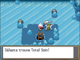 Route de Glace Total Soin HGSS.png