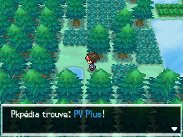 Fichier:Forêt d'Empoigne PV Plus N2B2.png