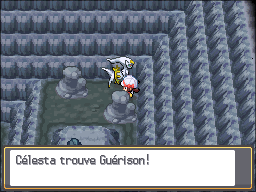 Grotte Argentée Guérison HGSS.png