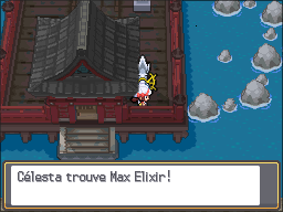 Antre du Dragon Max Elixir 2 HGSS.png